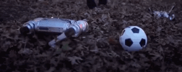 不用遛还会干家务、做保镖…!一大波四足机器狗来了