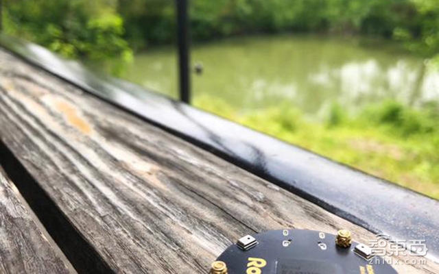 全民炒芯:务实者与投机者的战场