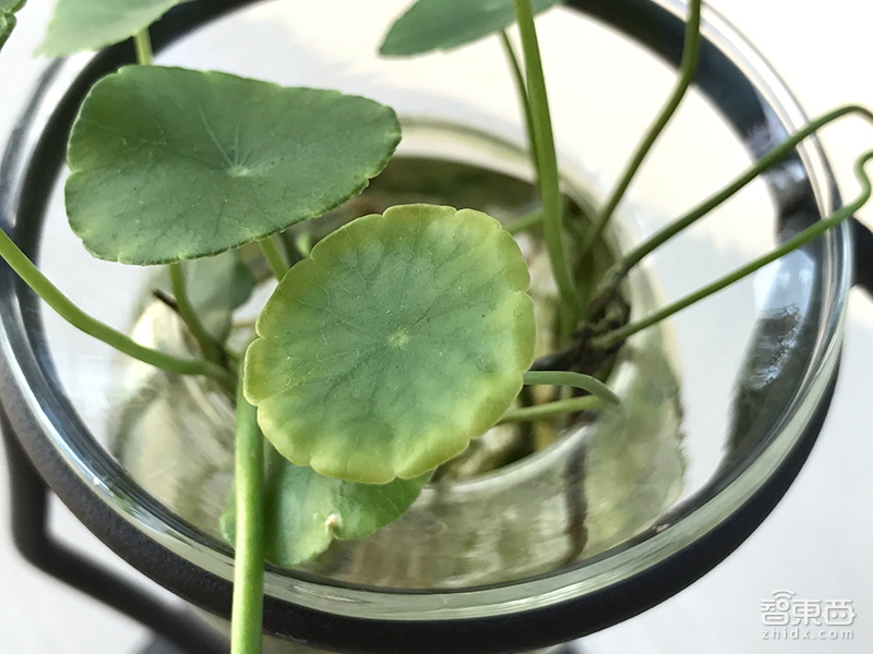 iPhone 7留下了这些彩蛋 深度体验发现细节之变