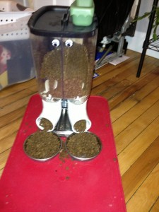 拯救喵星人 树莓派自动喂猫器机