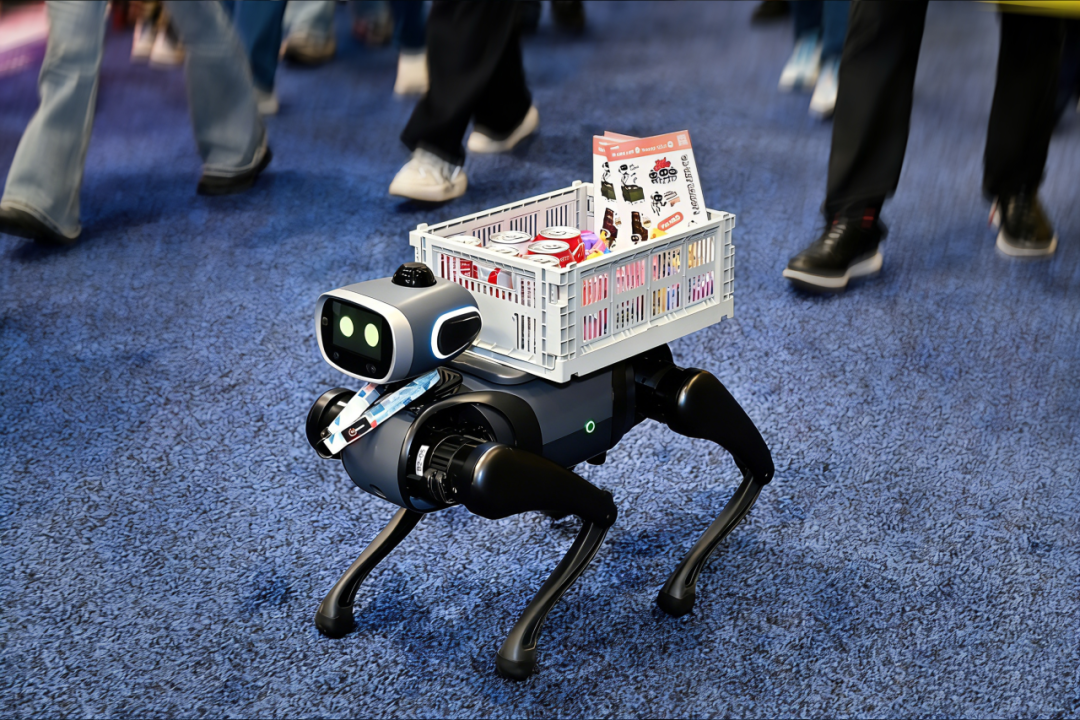 理想汽车，投了家具身智能公司