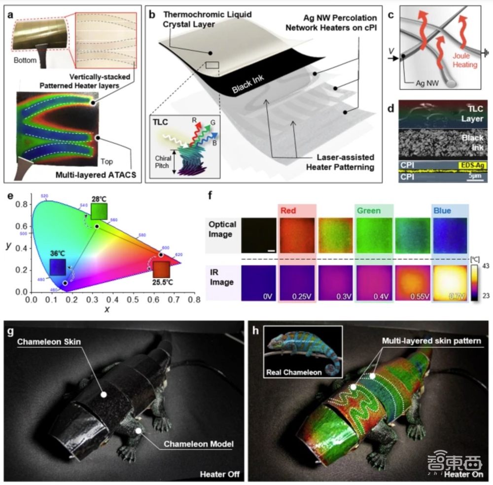 冲上热搜！韩国高校研发变色龙机器人，登Nature子刊