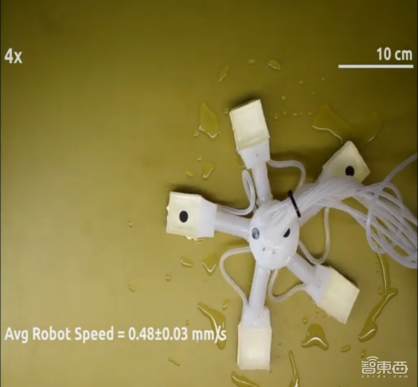 像海星的爬行机器人!能水下作业,灵感来自壁虎