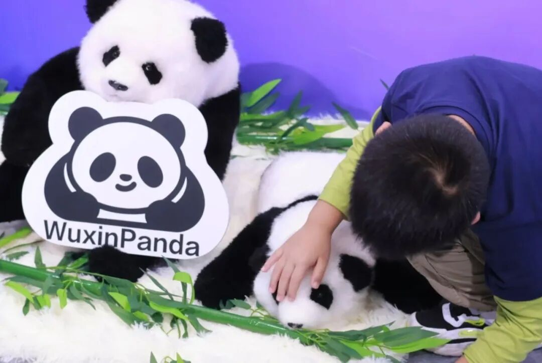 会飞的宠物、能通话的狗绳？直击CES 2026上最「不务正业」的AI发明