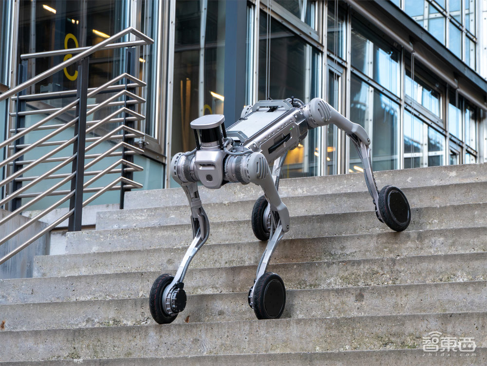 贝佐斯领投了一家AI机器狗公司,估值超1亿美元