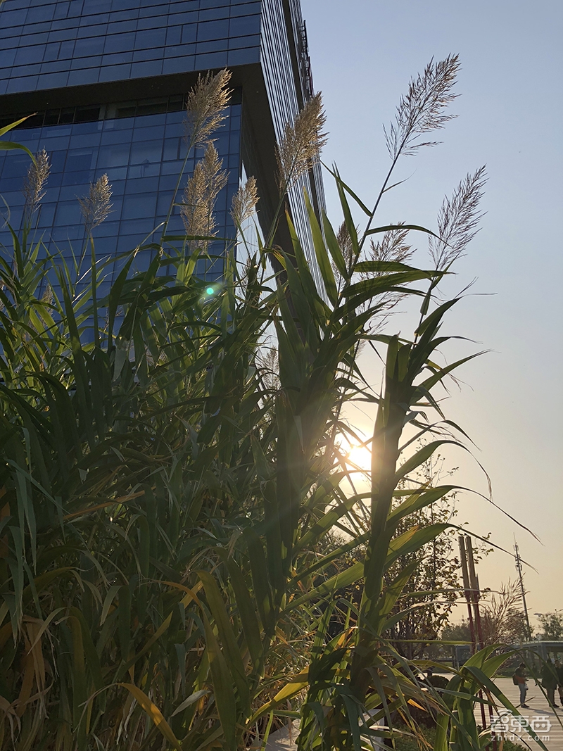 深度体验iPhone X!打开人工智能大门的正确姿势