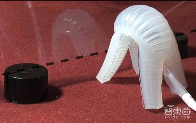 别看软乎乎的!它们都是受宠的不正经机器人