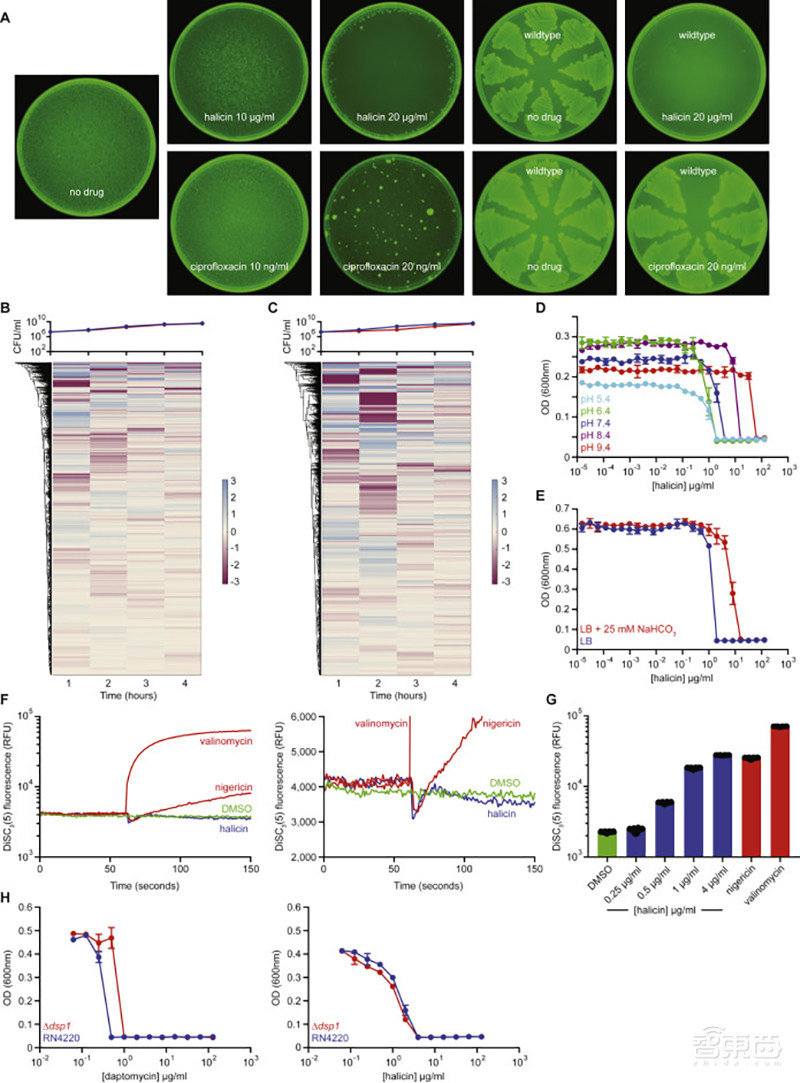 重磅！AI发现超级抗生素，能干掉多种致病细菌，从1.07亿分子筛出