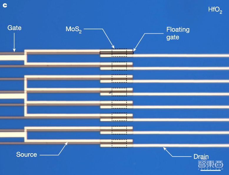 Nature揭秘:原子薄型半导体如何成为存内计算“救星”?