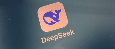 196DeepSeek5ʡǮ