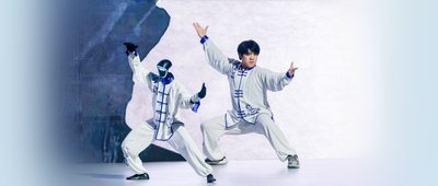 宇树和智元罕见同台！为什么世界最好的机器人，都要去上海“过招”？