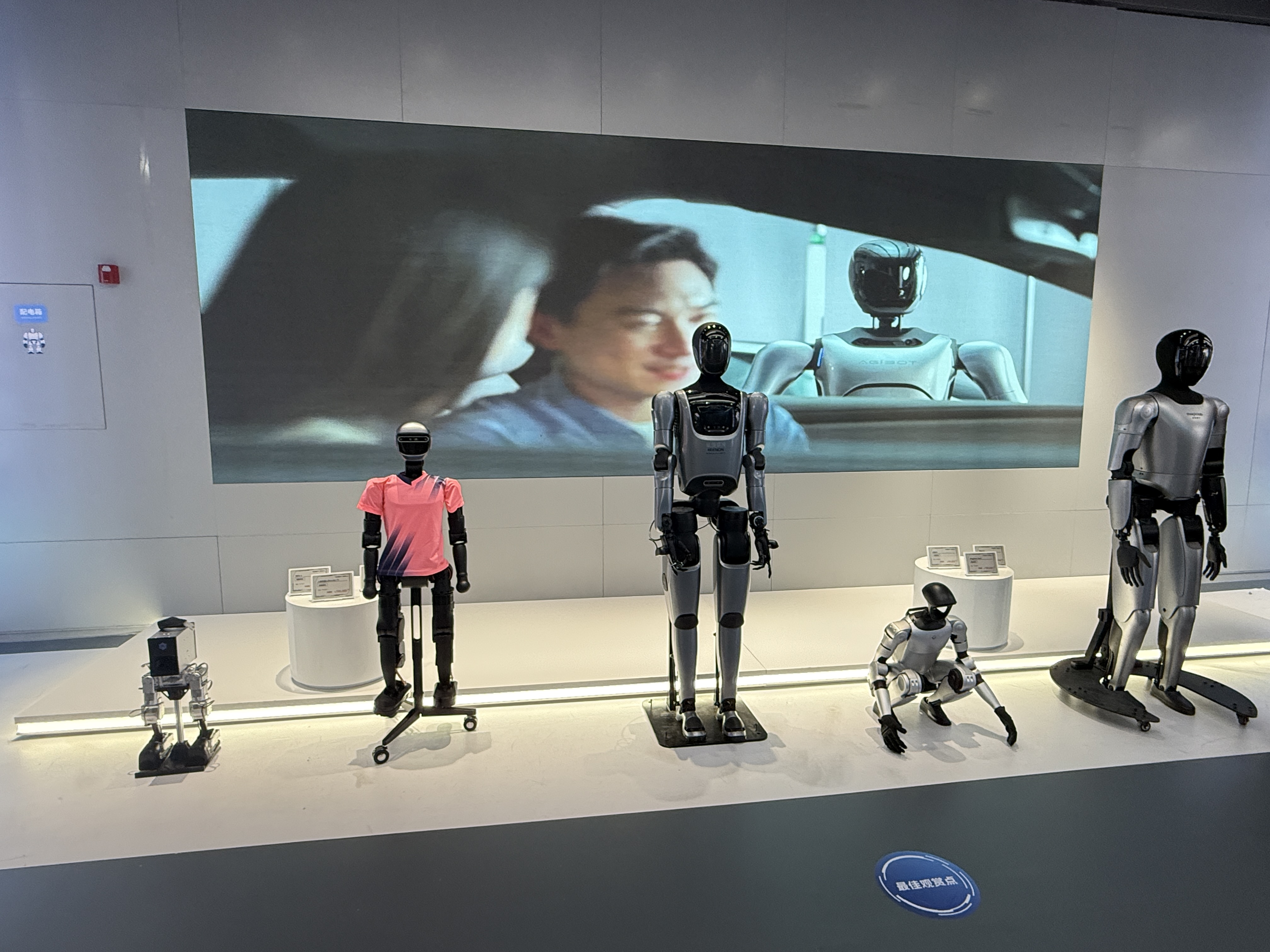 探访全球首家具身智能机器人4S店！超50款机型看花眼，还有机器人协作餐厅
