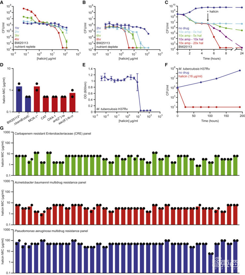 重磅！AI发现超级抗生素，能干掉多种致病细菌，从1.07亿分子筛出