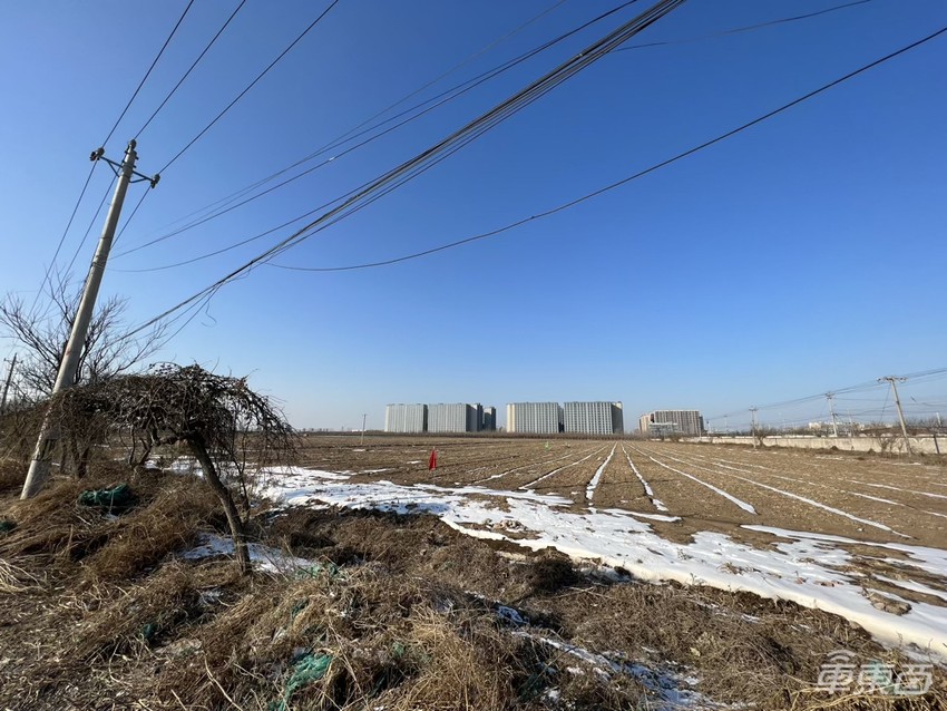 京郊萝卜白菜田,小米汽车诞生地
