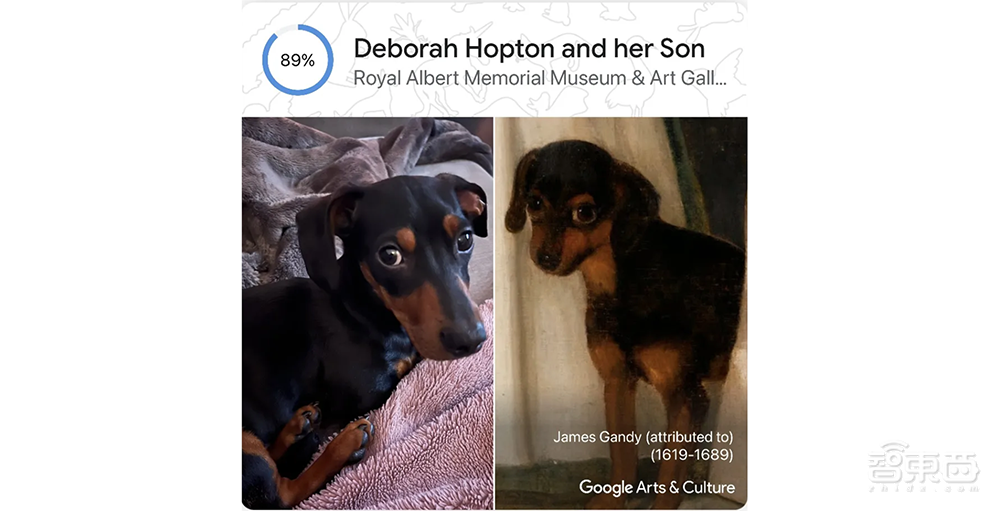 你的宠物也有艺术化身了，谷歌AI新功能上线