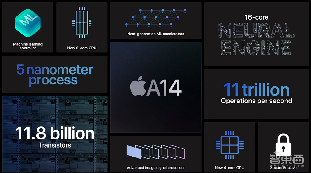 苹果最强芯A14牙膏挤爆！手表首发“小杯”SE版，iPhone 12下月见