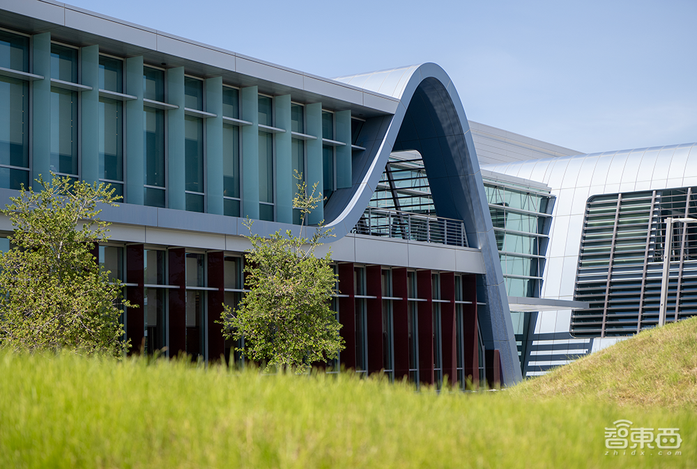 股价飙涨790%！今年最火AI妖股诞生，比英伟达还猛，创始人跻身百亿富豪榜