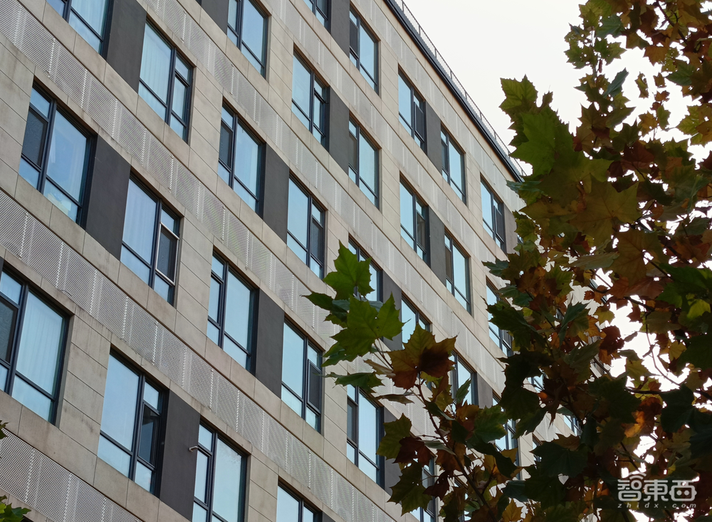 realme数字旗舰首次回国,首发体验“超大杯”,屏幕、拍照亮眼