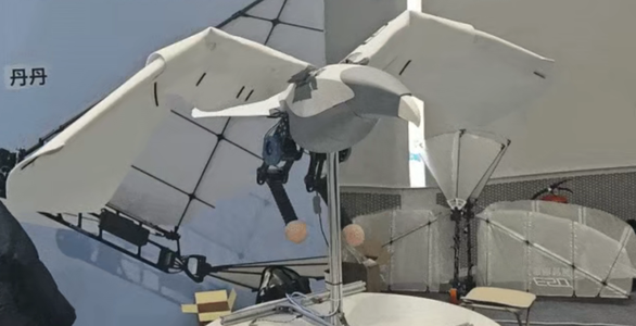 00后交大博士造飞行机器人,融资超千万,交大投了