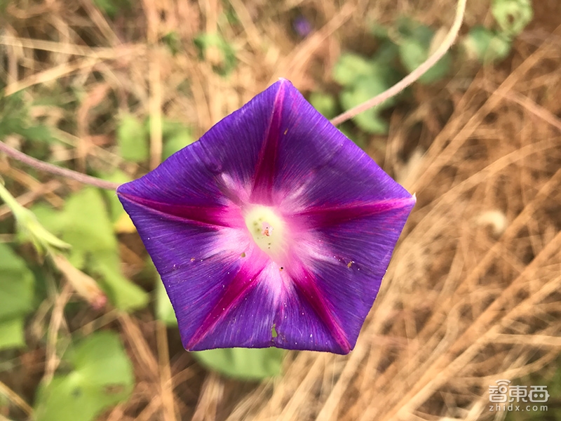 iPhone 7留下了这些彩蛋 深度体验发现细节之变