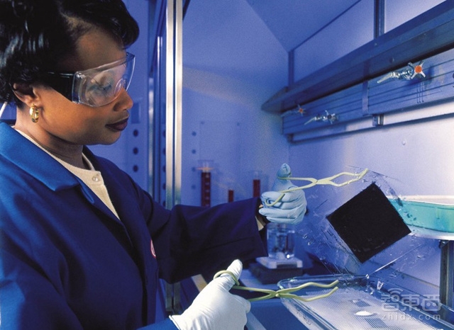 联手苹果之前 美军还装备了这些黑科技!