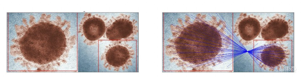《自然》:解放编辑双手,AI审查图像造假、学术不端