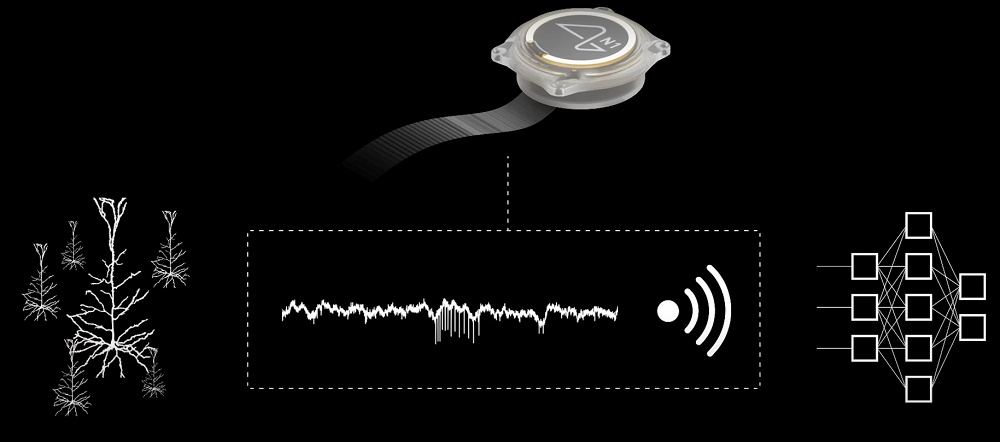 马斯克脑机接口重磅更新！5名患者联机玩马里奥赛车，未来或能控制Optimus机械臂