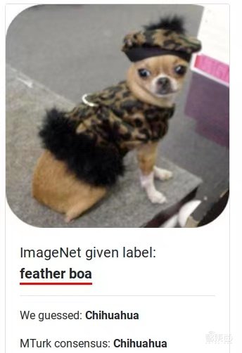 螃蟹变龙虾?MIT发现AI基准数据集存在“系统性”标记错误