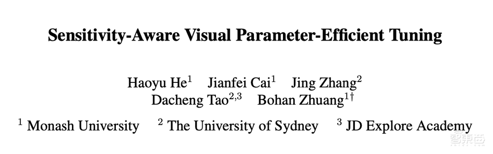 莫纳什大学ZIP Lab在读博士何昊宇:大模型的轻量级微调方法解析|AI新青年讲座