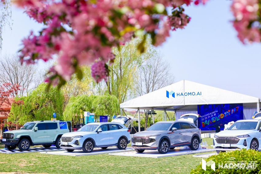 势头凶猛!毫末智行公布用户辅助驾驶行驶里程突破1000万公里大关!