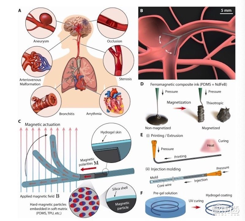 癌症救星!微型机器人将可进入体内杀死癌细胞