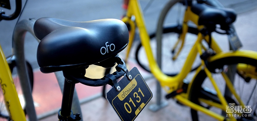 寻找风暴眼中的ofo真相：站着死还是跪着生？