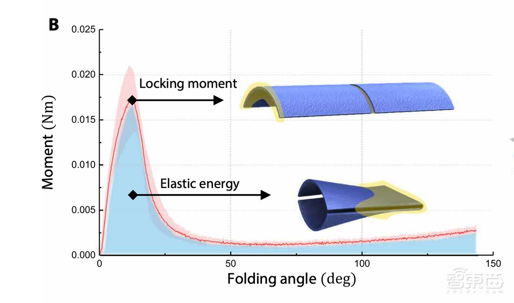 科学家参透瓢虫翅膀“玄机”,造新型柔性可折叠机器人
