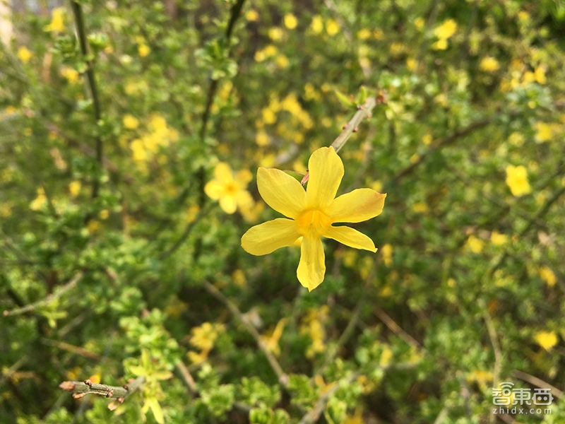 都是性能小钢炮 iPhone SE和新iPad Pro体验