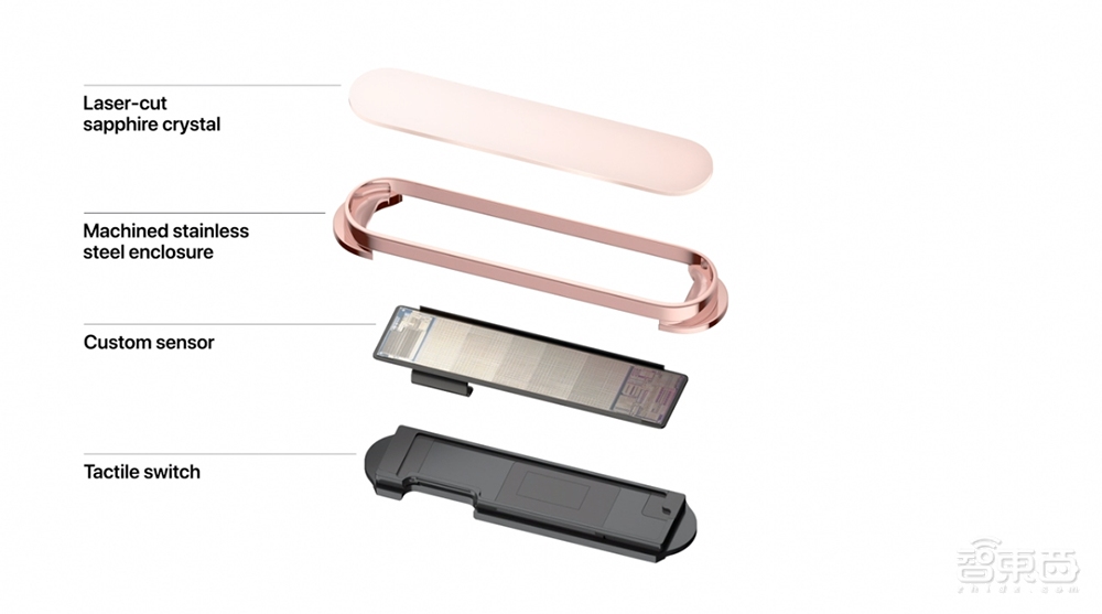 苹果最强芯A14牙膏挤爆！手表首发“小杯”SE版，iPhone 12下月见