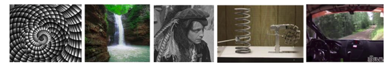 电脑直接显示你的脑补画面！脑机接口“读心”能力再升级