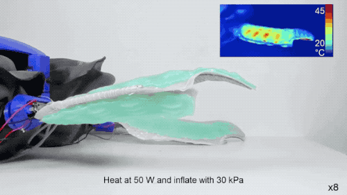 两栖机器龟登上Nature封面!结合海龟、陆龟和机器人的各种优势