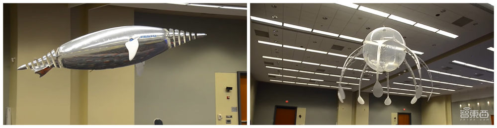 神奇！超逼真仿生雨燕机器人，仅42克翼展68厘米，能自主导航飞行