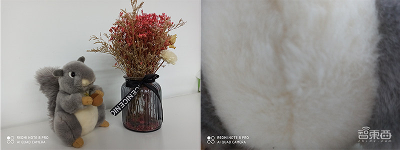 6400万像素的相机拍照什么样?揭秘Redmi Note 8 Pro六种拍照玩法