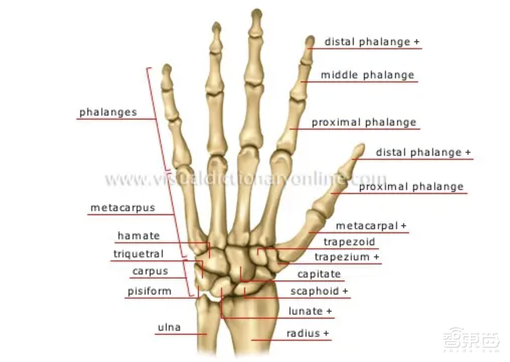 一只“手”,难倒人形机器人