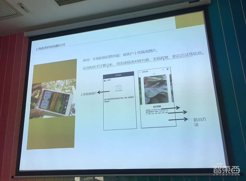 AI挑战赛赛况正酣：北京气象局首度公布3年数据集，AI给叶子看病当“医生”