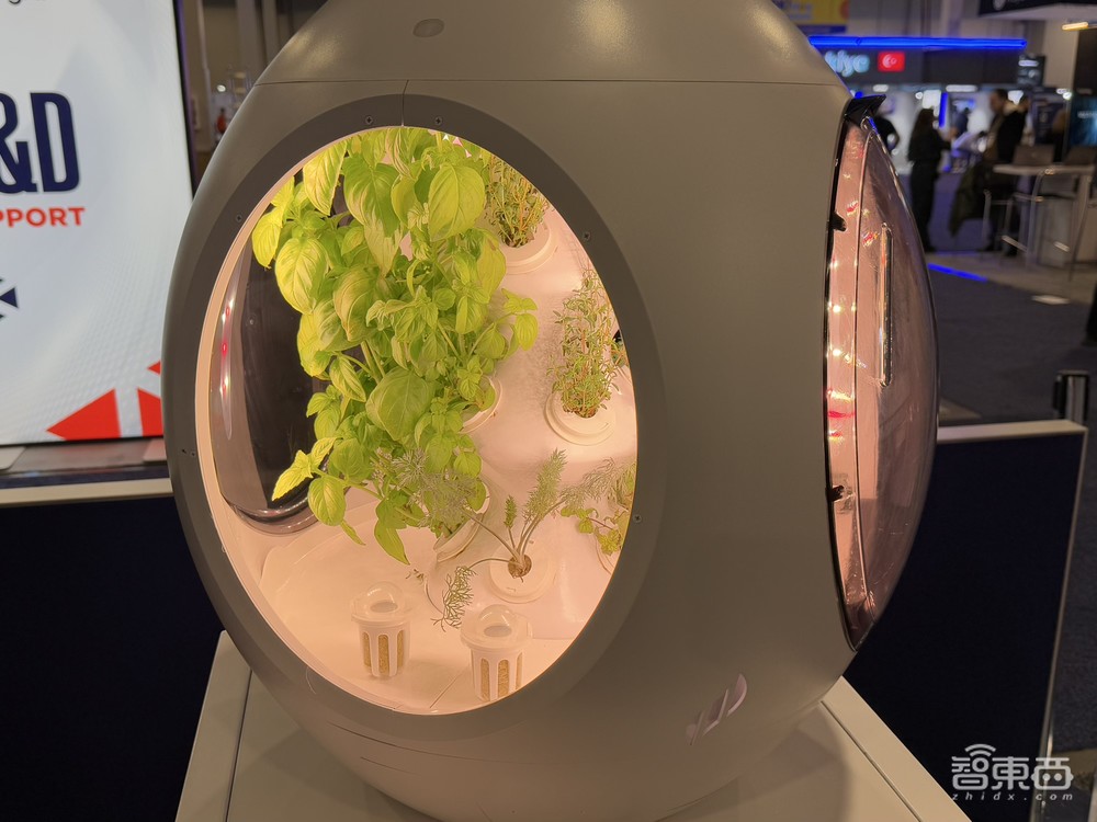 暴走4万步逛遍CES2025:十大方向最火,中企已上牌桌,万物皆可AI