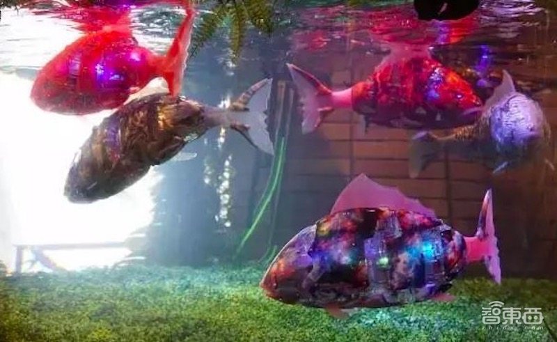 住机器人酒店是交智商税吗?机器人的烂摊子还要人来收