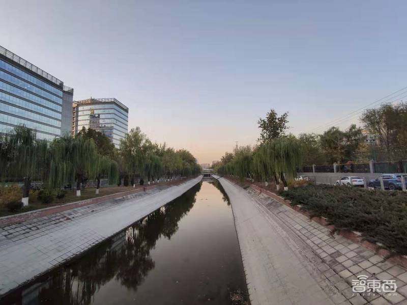 小米1亿像素手机拍照体验,从微距拍到超广角,效果到底如何?
