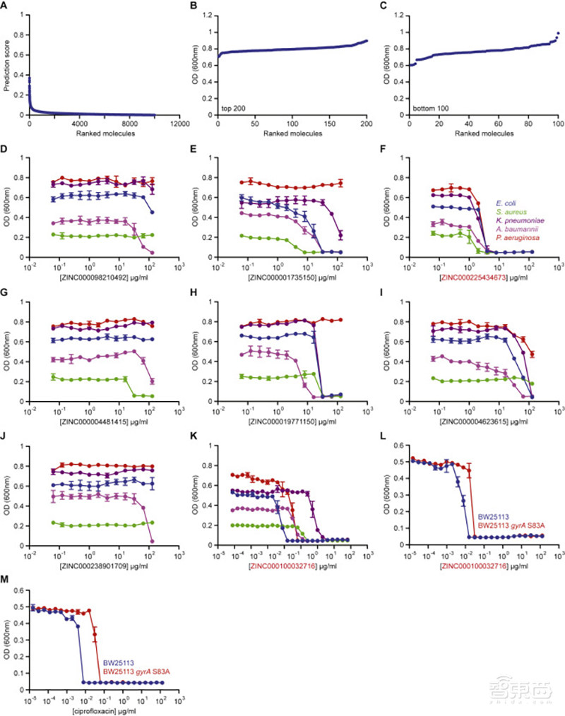 重磅！AI发现超级抗生素，能干掉多种致病细菌，从1.07亿分子筛出