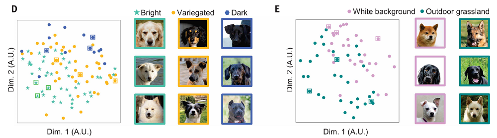 上海交大全光AI芯片登Science！比A100快百倍
