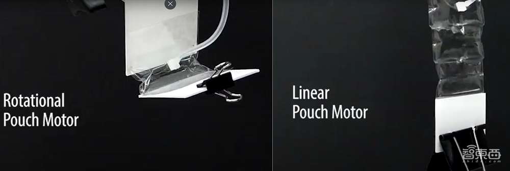 弹跳超自身10倍,机器人关节驱动新进展,受蜘蛛启发