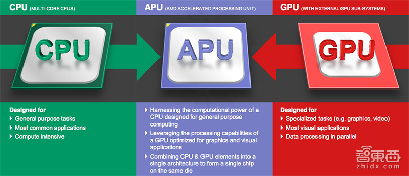 股价飙升145%!华裔女老板挂帅,英特尔老冤家上演惊天大逆转