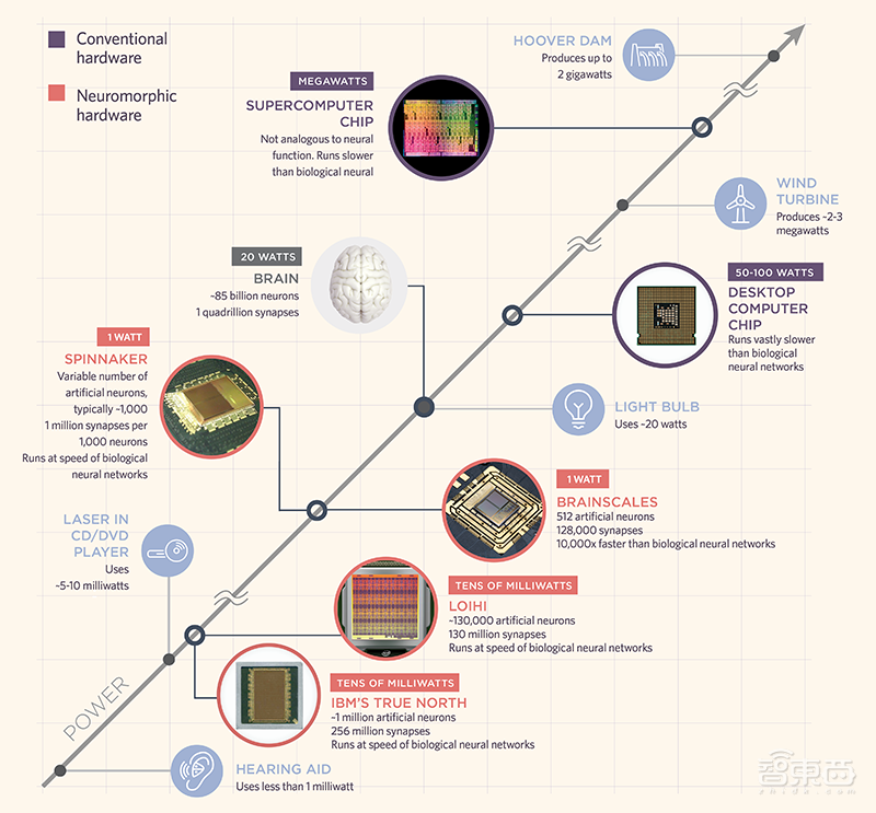 深扒全球仿生芯片计划!15+公司已入局,人造大脑通往未来计算之门