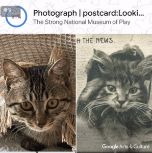 你的宠物也有艺术化身了,谷歌AI新功能上线